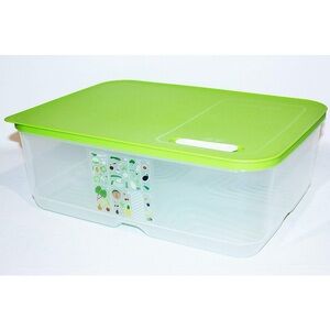 1- Tupperware Fridgesmart 9.9 L- xtra large